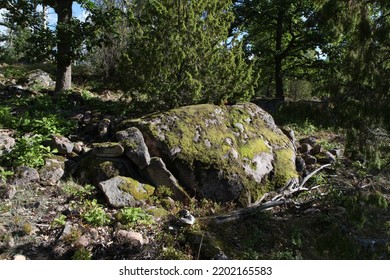 Stine With Moss, Småland Sweden