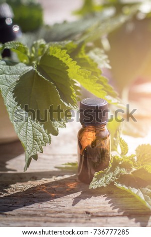 Stinging Nettle Essential Oil Urtica Dioica Stock Photo - 