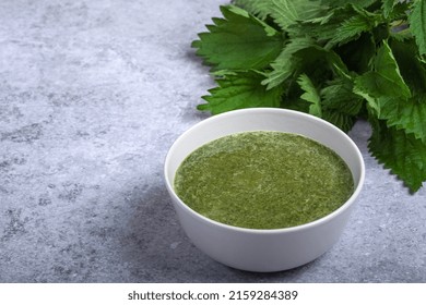 Stinging Nettle Soup Of Young Nettle Tops, Shallots, Celery, Potatoes, Stock, And Cream. Plate Of Nettle Soup On A Gray Background