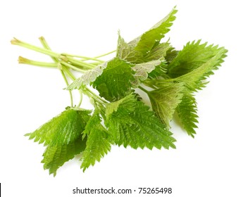 Stinging Nettle (Urtica Dioica) Is Rich In Vitamins A, C, Iron, Potassium, Manganese, And Calcium. Herb Can Be Used To Treat Arthritis, Anemia, Hay Fever, Kidney Problems, And Pain.