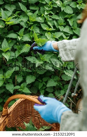 berry picking Food Fruit