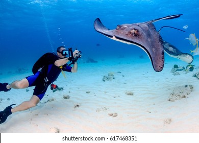 Stingray City.