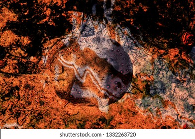 Stingray Myliobatoidei Camouflage On Bottom Of Sea