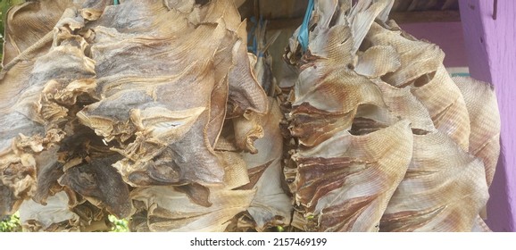 Stingrays Are Dried And Sold By Traditional Traders