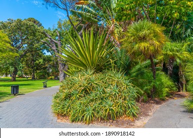 Stirling Gardens In Perth, Australia