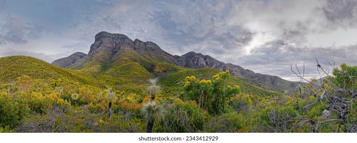 Stirling Range or Koikyennuruff landscape scenery, beautiful mountain National Park in Western Australia, with the highest peak Bluff Knoll. Panoramatic view to the rocky mountains. - Shutterstock ID 2343412929