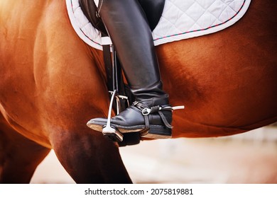  In the stirrup is the foot of a rider in a black boot, sitting on a bay racehorse in the sunlight. Equestrian sports. Horse riding.