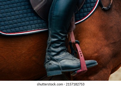 In the stirrup is the foot of a rider in a black boot. Equestrian sports. Horse riding. - Powered by Shutterstock