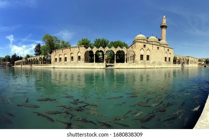 Stitched Panorama Of Balikligol (Pool Of Abraham) In Sanlıurfa Turkey. A Sacred Lake With Thousands Of Sacred Carp And A Biblical History