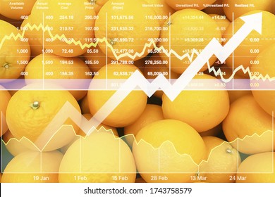 Stock Financial Index Show Successful Investment On Agriculture Products Such As Organic Fruit Market With Graph And Chart For Presentation And Report Background.
