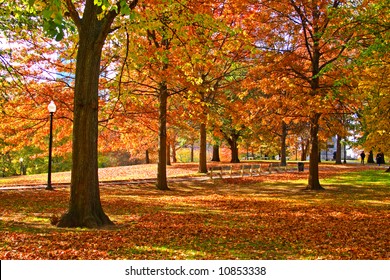 Stock Image Of Fall Foliage At Boston Public Garden