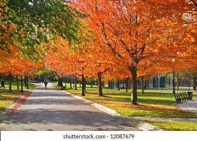 Stock Image Of Fall Foliage At Boston Public Garden