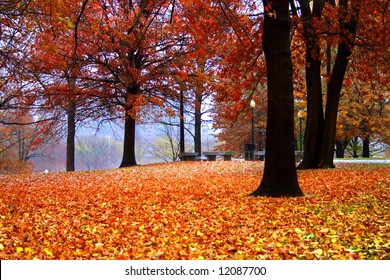 Stock Image Of Fall Foliage At Boston Public Garden