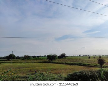 Stock Photo Of Beautiful Farmland Fully Grown Crops And Plants, Surrounded By Green Tree. Electric Pole Installed In The Middle Of The Land, Blue Sky And White Clouds No Background, At Gulbarga,India