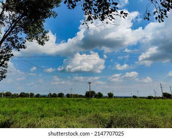 Stock Photo Of Beautiful Farmland Fully Grown Crops And Plants, Surrounded By Green Tree. Electric Pole Installed In The Middle Of The Land, Blue Sky And White Clouds No Background, At Gulbarga,India.