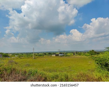 Stock Photo Of Beautiful Farmland Fully Grown Crops And Plants, Surrounded By Green Tree. Electric Pole Installed In The Middle Of The Land, Blue Sky And White Clouds No Background, At Gulbarga,India.