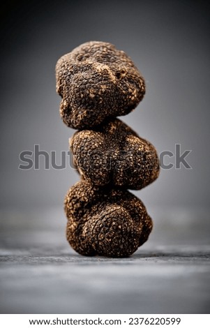 Stock photo of fresh truffles over black background. Foto d'archivio © 