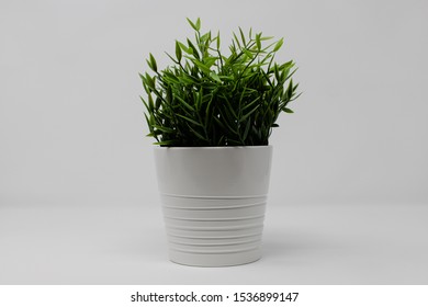 Stock Photo Lightbox Floral Pot