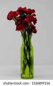 Stock Photo Lightbox Floral Vase