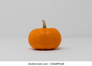 Stock Photo Lightbox Small Pumpkin