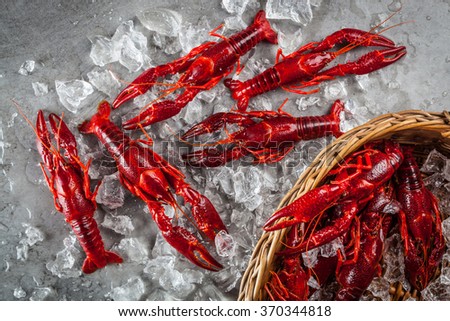 Stock photo of red freshwater crayfish on a metal surface and in a basket with crushed, partly melted ice. Top view.