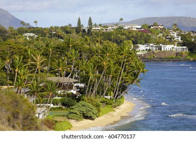 Stock Photo Of Waterfront Homes With Plush Green Palm Trees In Oahu Hawaii