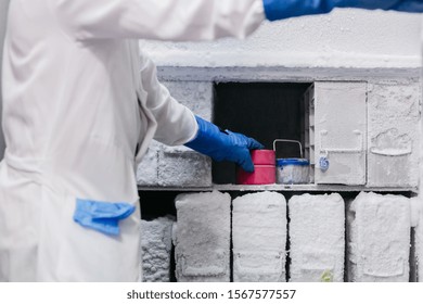 Stock Photo Of A Woman In Back With A White Coat Leaving Lab Samples In The Freezer.. Technology