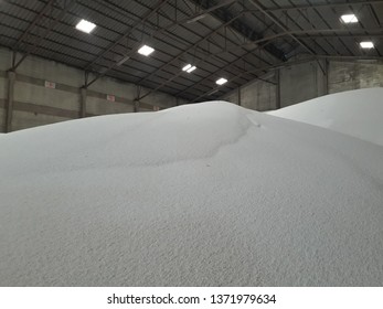 Stock Urea Pile In Warehouse Waiting For Shipment Bao Type.