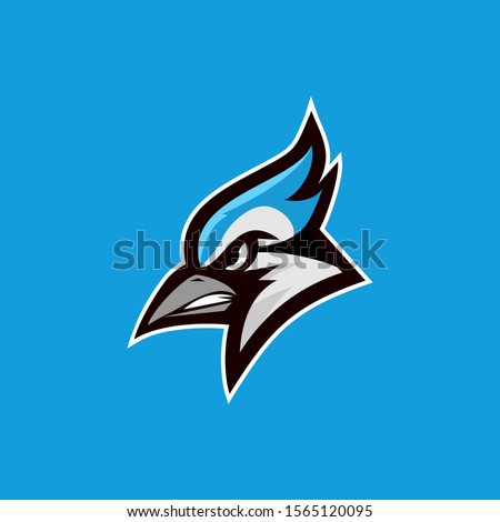 Блю джейс. Сойка логотип. Creighton Bluejays.