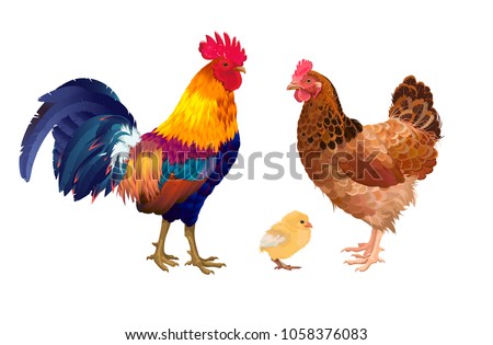 Chick With Cock