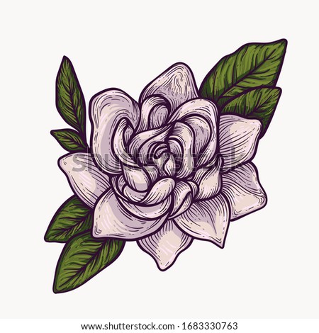 gardenia blooming flowers hand drawn isolated colorful and outline vector c...