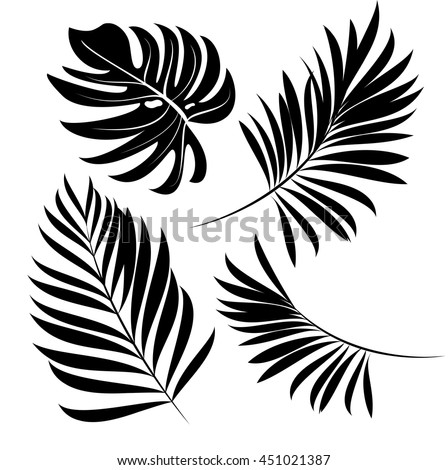 Palm Frond Drawing.