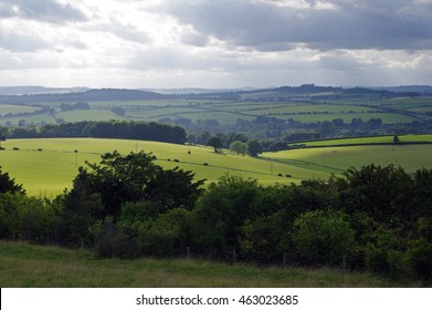 Stockbridge Down, Hampshire - 1