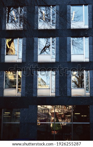 Similar – Image, Stock Photo bare little trees on a roof terrace