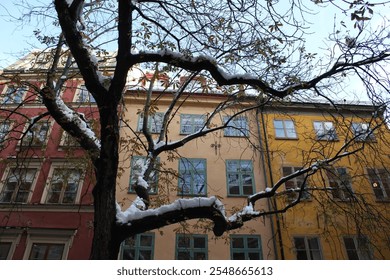 Stockholm Historic Buildings in the Winter - Powered by Shutterstock