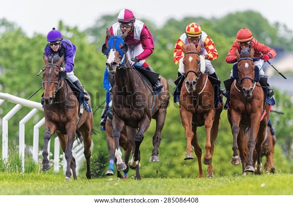 STOCKHOLM - JUNE 6: Group of jockeys and horses\
in fast pace during the race at the Nationaldags Galoppen at\
Gardet. June 6, 2015 in Stockholm,\
Sweden.