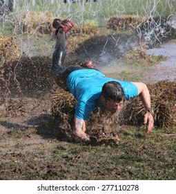 STOCKHOLM - MAY 09, 2015: Muscular Built Man Crawling Over A Sheaf Of Hay And Mud Trying To Avoid Electrified Cables Of The Public Obstacle Race Event Tough Viking, May 09, 2015 In Stockholm, Sweden