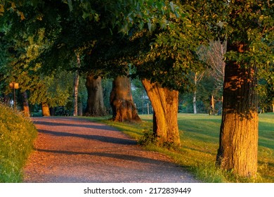 Stockholm, Sweden An Alley In The Wrly Morning Light In The  Djurgarden Par. .