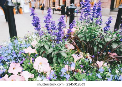 Stockholm, Sweden - June 26, 2019: Norrmalm And Östermalm District, Exterior And Design Of Buildings