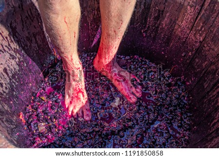 Stomping grapes - man's feet with hairy legs in wooden barrel with smushed up grapes