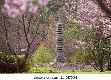 Stone 13-tiered pagoda in the Main Botanical Garden of the Russian Academy of Sciences. Japanese garden with pink flowers. spring nature. Picturesque landscape with blooming cherry trees