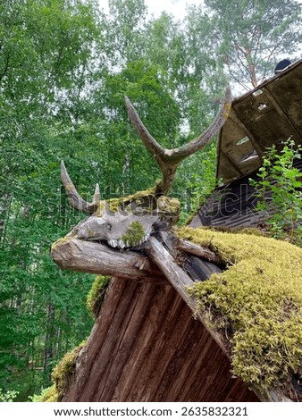 Stone Age Paleolithic Building with Deer Skull and Moss