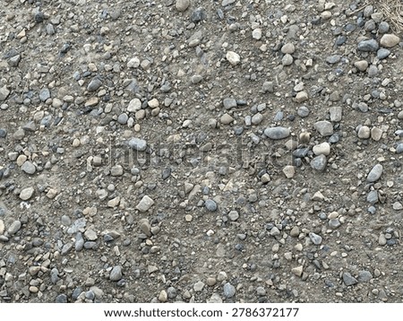 Stone aggregate ground texture with coarse gravel detail in natural outdoor setting