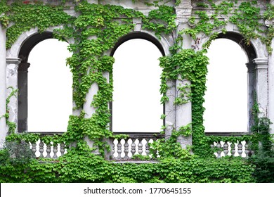 Stone arch covered with green ivy. Arch in greenery on a white background.  - Powered by Shutterstock