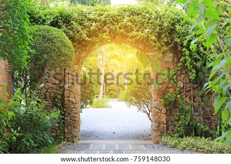 Stone arch entrance gate covered with ivy. Archway to the park with sunlight.