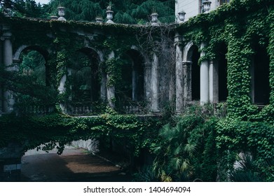 Archway Enchanted Fairy Forest Landscape Misty Stock Photo (Edit Now ...