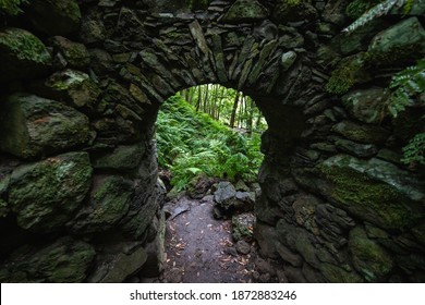 stone arch inside a forest full of ferns seen in the background