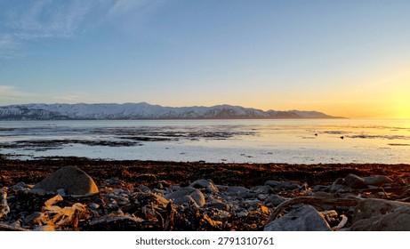 Stone beach with algae and setting sun over the ocean