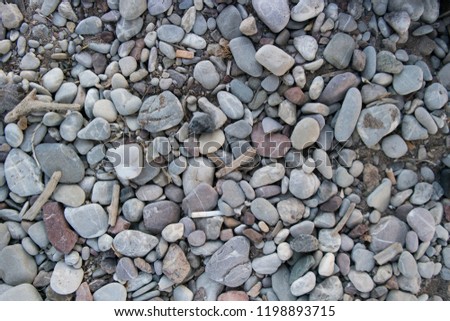 Stone beach floor background texture of pepple beach stones horizontal