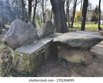 stone bench and stone table in a forest